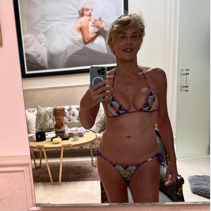 Sharon Stone Swimsuit - 64-Year-Old Actress Flaunts Toned Body on Instagram